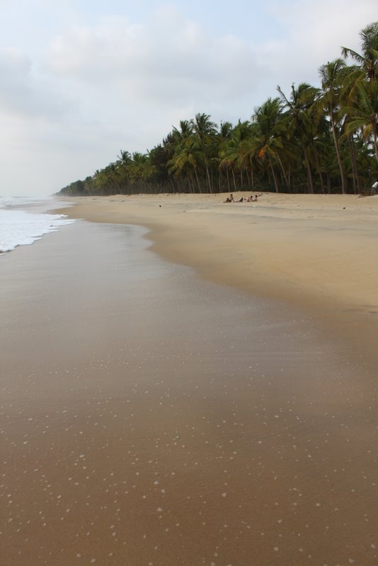 Typical Keralan beach.